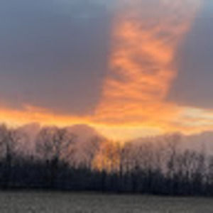 Meet your Posher, Cecelia